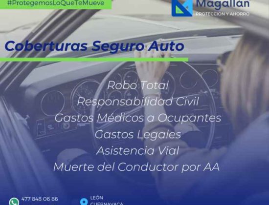 Magallan Proteccion y Ahorro