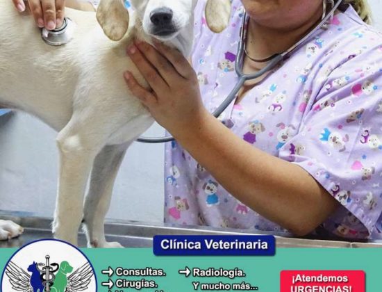 Veterinaria San Miguel