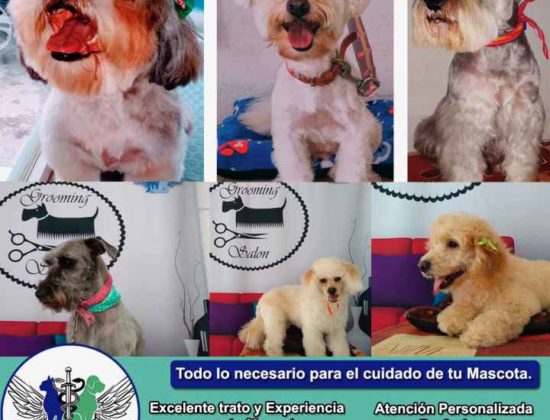 Veterinaria San Miguel